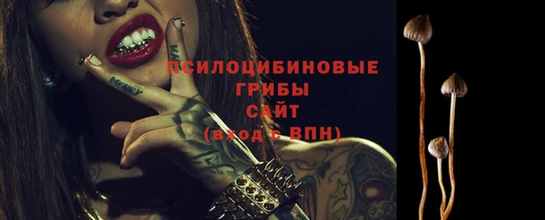 дживик Абинск