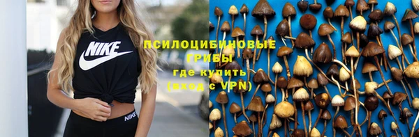 круглые Алзамай