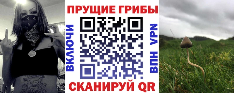 Псилоцибиновые грибы мухоморы blacksprut Барыш